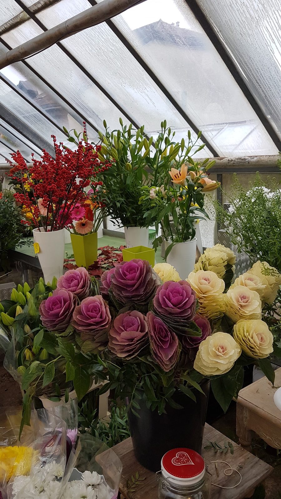 Roses et fleurs coupées en seaux dans la serre